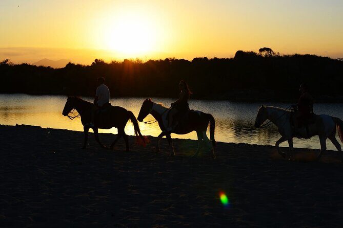 2-Hour Horseback Riding Tour at Sunset from Punta Cana - Key things to know before you ride