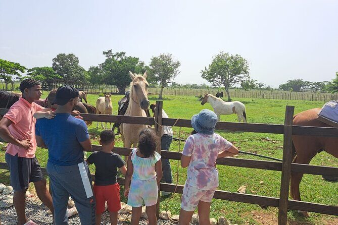 2-Hour Horseback Riding Tour at Sunset from Punta Cana - Macao Beach at sunset: optional splash, mostly pure scenery