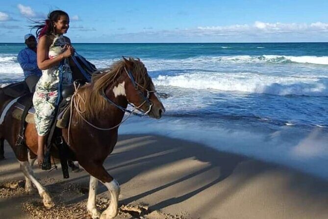 2-Hour Horseback Riding Tour at Sunset from Punta Cana - Horses, training, and why it affects your whole experience