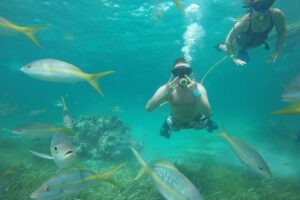 3 ADVENTURES: Sailing Catamaran Cruise - Hooka Diving - Snorkeling - Pickup and the dock moment: where patience pays off