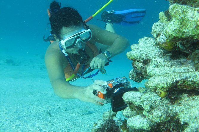 3 ADVENTURES: Sailing Catamaran Cruise - Hooka Diving - Snorkeling - The crew and boat setup: where most of the value shows up