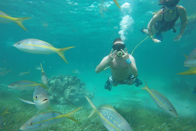 3 ADVENTURES: Sailing Catamaran Cruise - Hooka Diving - Snorkeling - Pickup and the dock moment: where patience pays off