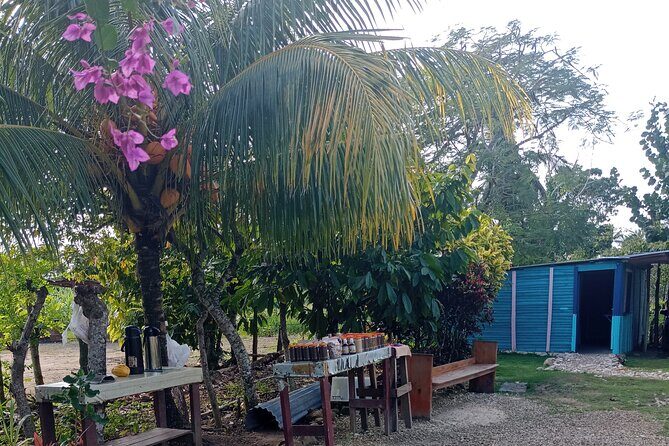 3 Hours Panoramic Tour in Punta Cana with Artisan Market - Artisan Market Finale: Good Prices, But Read the Room