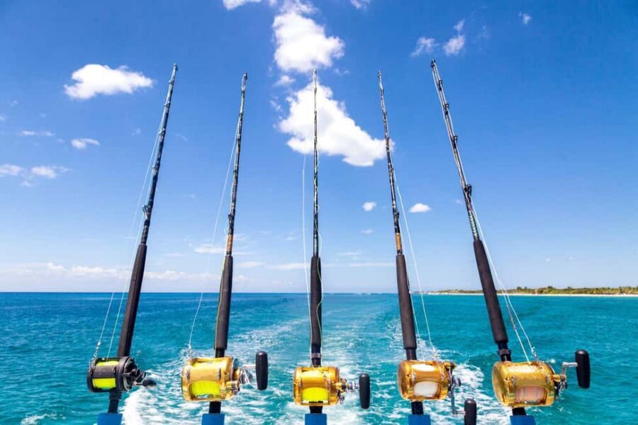 4 hour deep sea fishing experience from punta cana - Key points at a glance