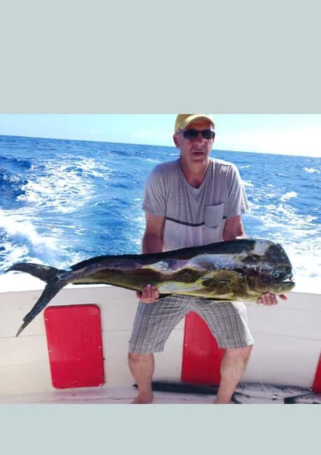 4 hour deep sea fishing experience from punta cana - Pickup from Punta Cana: timing you can’t ignore