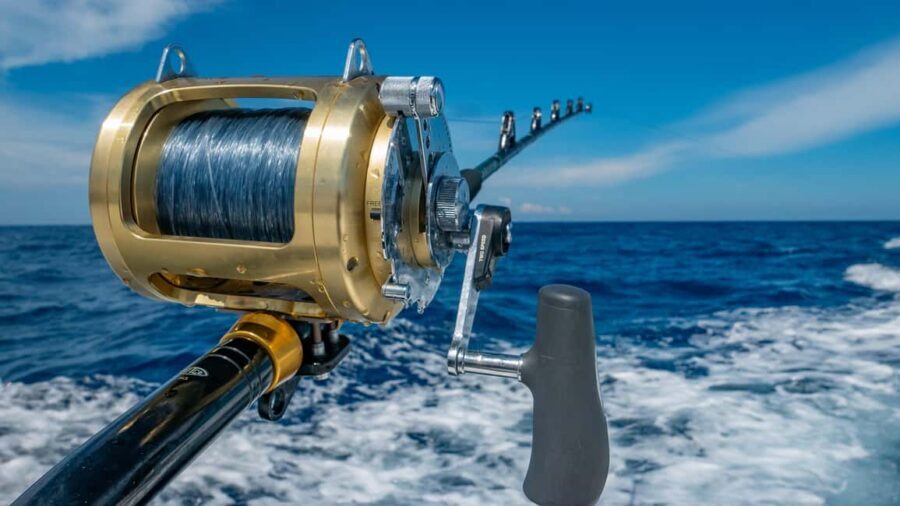 4 hour deep sea fishing experience from punta cana - Price and what you get for $100 per person