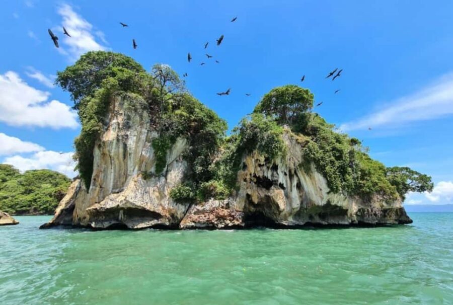 4in1: Los Haitises+ Kayaking+ Natural Pools+ Montana Redonda - Lunch in the park area: Dominican food that fuels the next leg
