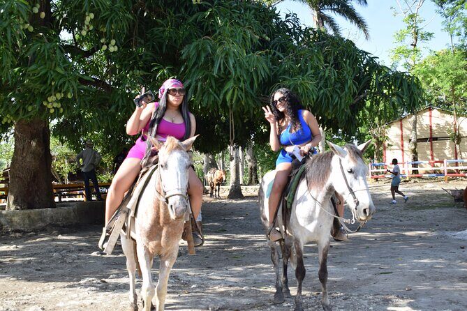 5 tours in 1 (Eco Farm/Horseback/City Tour/Buggy/Zipline) - Anamuya Eco Farm: Coffee, Cocoa, and How People Live Off the Land