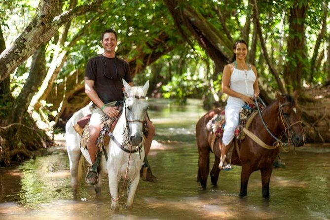Adventure in the bay of samana and waterfall El limon from punta cana - The 7:00 am start and the reality of a ~10 hour day