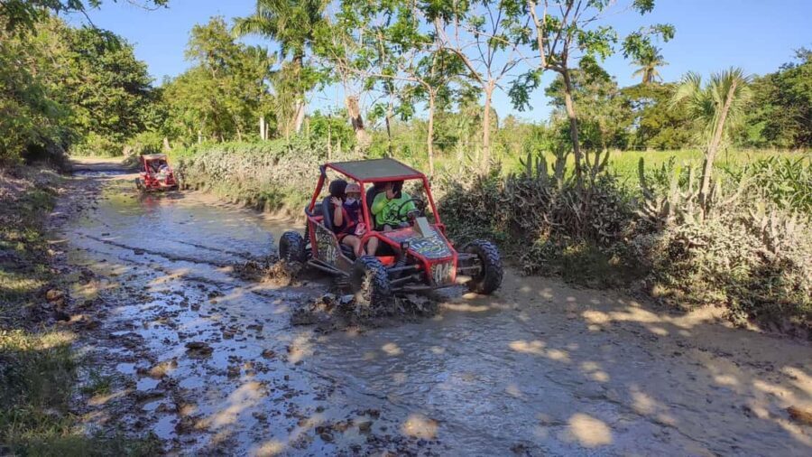 Amber Cove & Taino Bay: Buggy Tour with Swimming & Tasting - Beach Stop Off the Bay: Quick Swim Time, Real-World Conditions