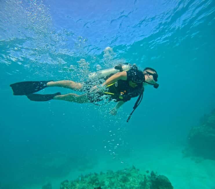 Bávaro: Scuba Diving Experience for Beginners - Key Things You’ll Notice Right Away
