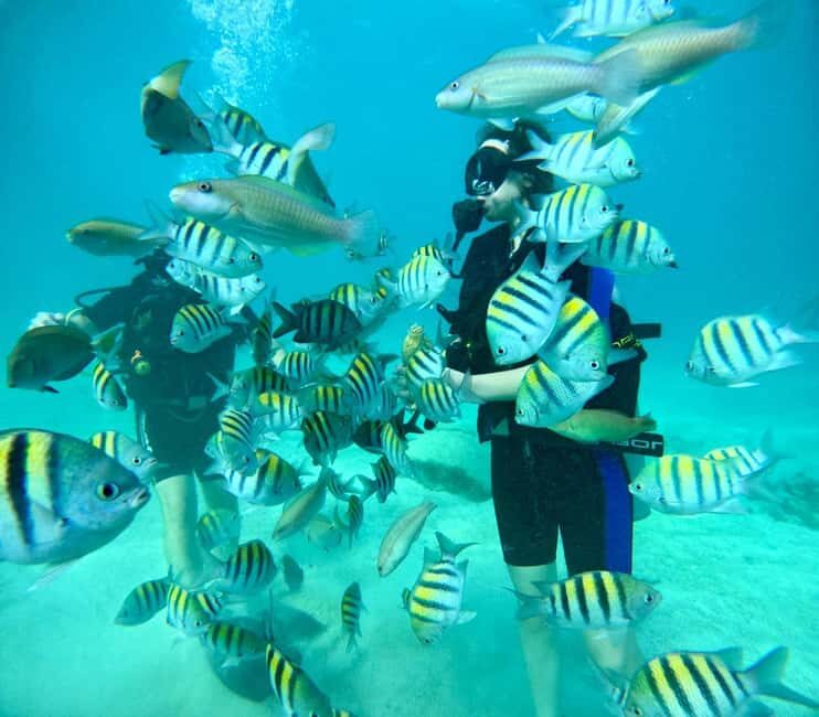 Bávaro: Scuba Diving Experience for Beginners - Bávaro, Punta Cana: Starting Point and What the Setting Means