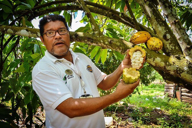 Bayaguana Countryside Safari from Juan Dolio/Boca Chica - Sugarcane and the “Typical Home” Tasting Stops