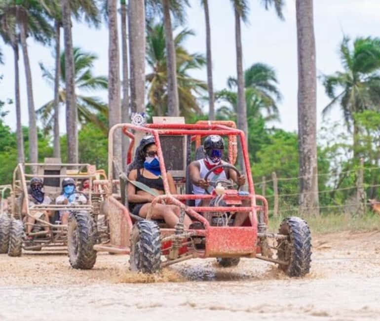 Bayahibe Jungle Buggy Expedition - The Tasting Finish: Chocolate, Coffee, and Mamajuana