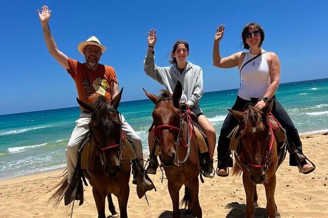 Beach Sunset Horseback Ride in Punta Cana - Meeting Your Guide and Getting Set Up for a Safe Ride