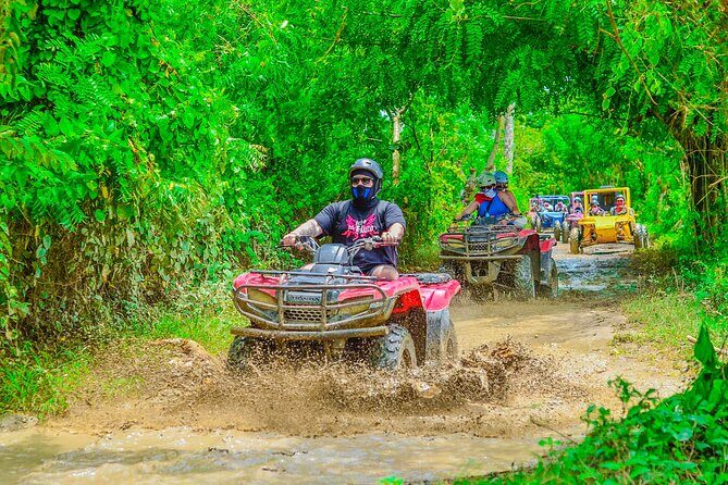Buggy Ride Into the jungle with cave coffee & chocolate tasting - Macao Beach: The One-Hour Reset You’ll Be Happy You Got