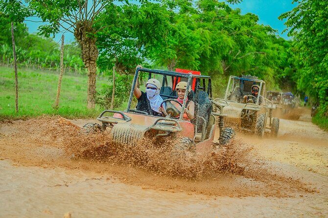 Buggy Ride Into the jungle with cave coffee & chocolate tasting - How Pickup, Mobile Tickets, and Group Size Shape Your Experience