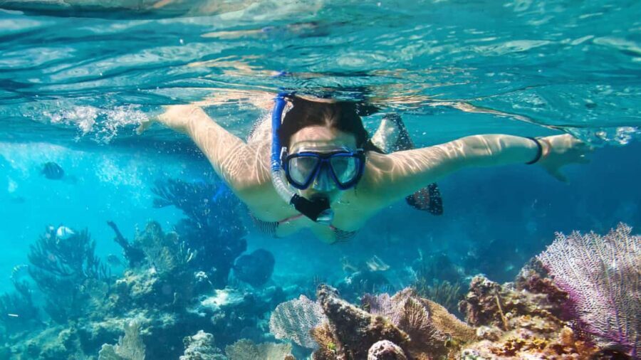 Catalina Island, even more pristine than Saona - How the day trip from Bávaro actually plays out