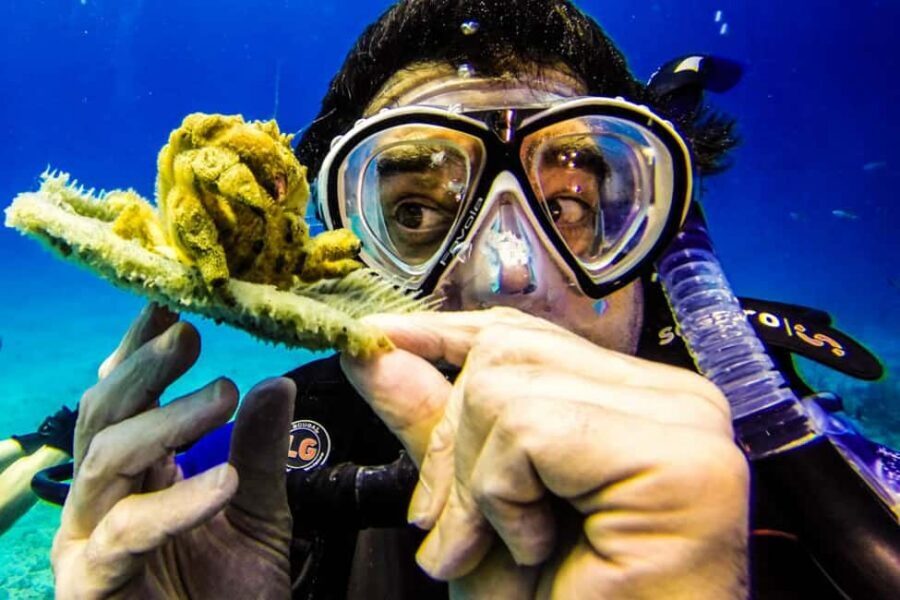 Catalina Island Scuba Diving Tour from Punta Cana - Check-in at Club Caza y Pesca and the PADI run-up
