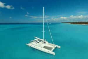 Catalina Island - Snorkeling tour on a luxury catamaran - Snorkeling at The Wall: coral, starfish, and how to get the most out of your first stop
