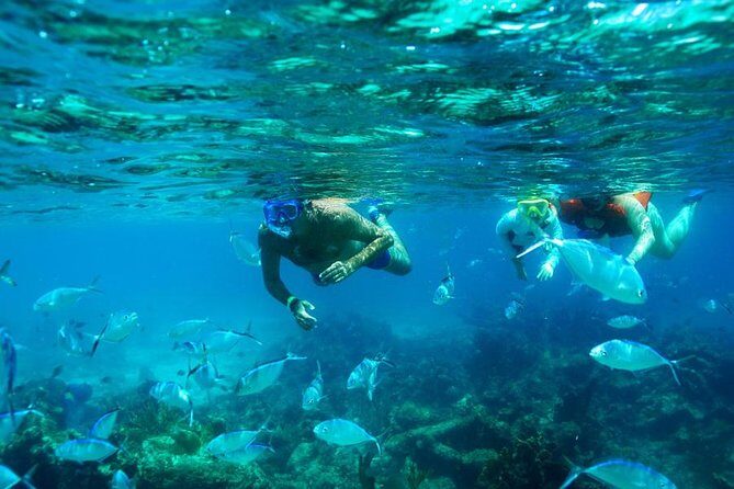 Catamaran Booze Cruise And Snorkeling Punta Cana - Adults Only - Key highlights worth knowing