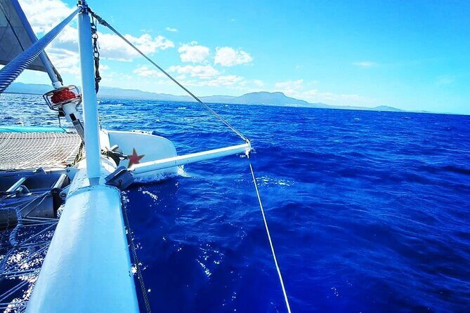 Catamaran Day Trip, Snorkeling & Sailing Excursion - Snorkeling at two stops: the fun part, with one real-world caveat