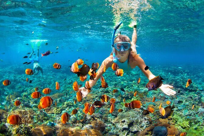 Catamaran Party in Punta Cana with Unlimited Drinks - Who This Tour Suits Best (And Who Might Skip It)