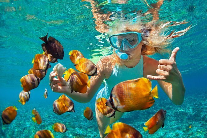 Catamaran Snorkeling All-Inclusive Day-Trip - Key Things I’d Prioritize Before You Go