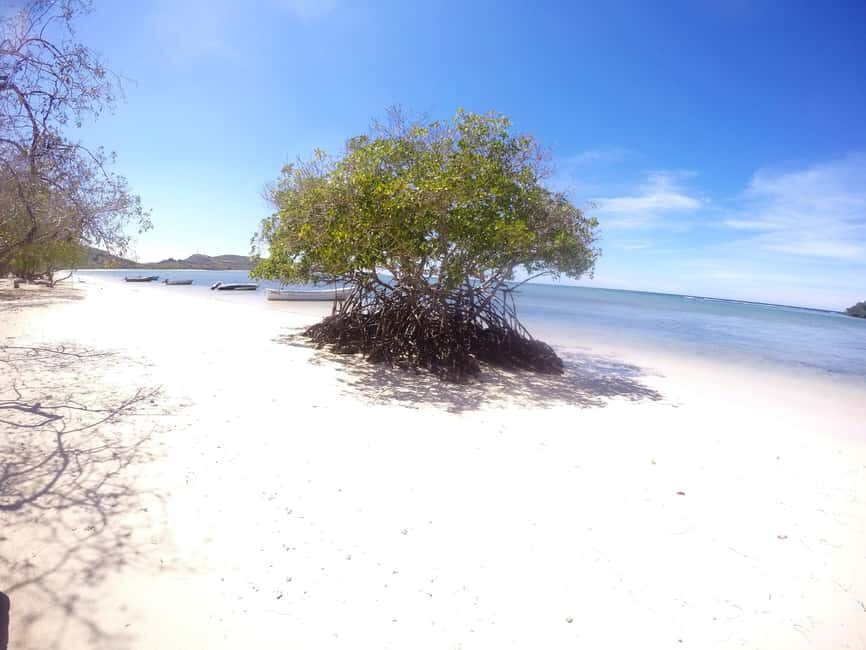 Cayo Arena: Paradise Island and Mangroves Tour - Key Things to Know Before You Go