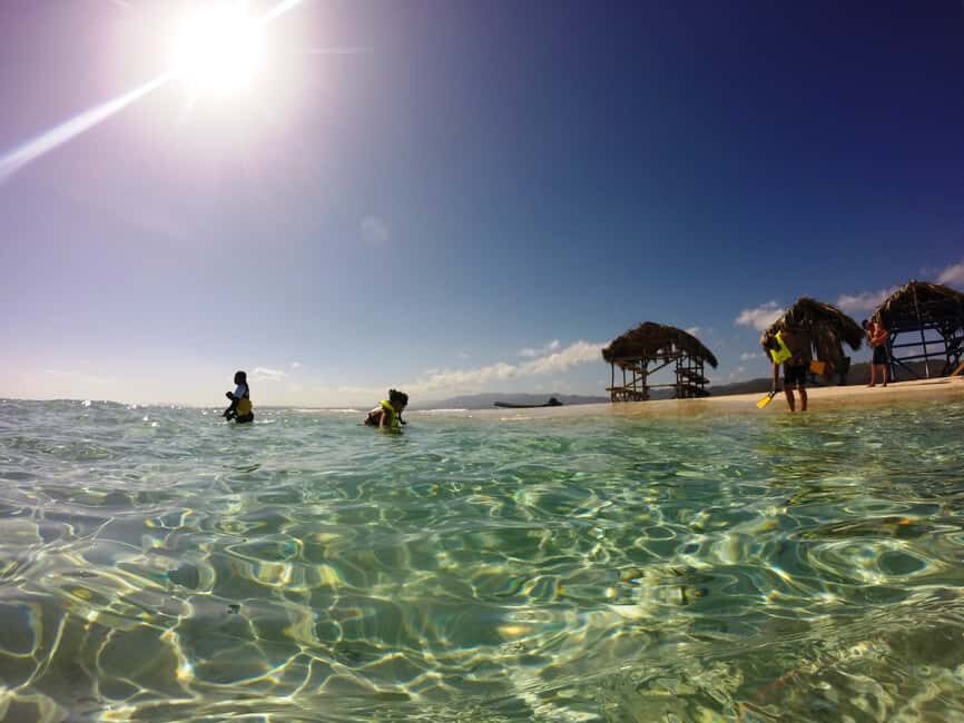 Cayo Arena: Paradise Island and Mangroves Tour - Cayo Arena: White Sand, Clear Water, and Coral Gardens
