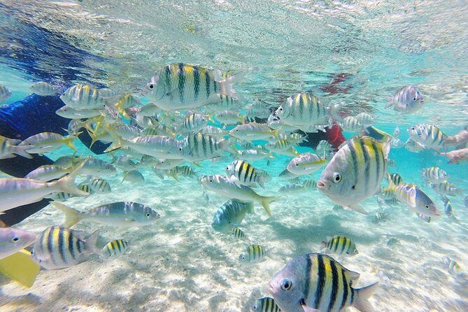 Cayo Arena, Paradise Island Tour - Key Things You’ll Notice on This Tour