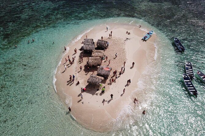 Cayo Arena, Paradise Island Tour - Through the Mangroves: A Short Ride That Adds Wildlife Senses