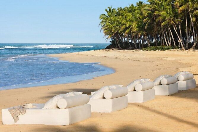 CHIC by Royalton All Exclusive Resort - Round Trip Shuttle - Punta Cana Airport - What Happens on Arrival: Pickup, Flight Tracking, and Meeting Point