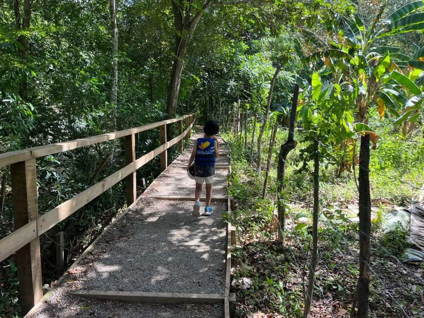 Damajagua Waterfalls Tour with Lunch - Real-world guide and handoff experiences: what to watch for