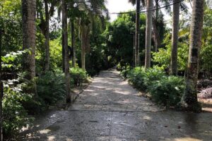 Discover Dominican life - Anamuya: coconut oil, coffee, cocoa, and the cigar workshop