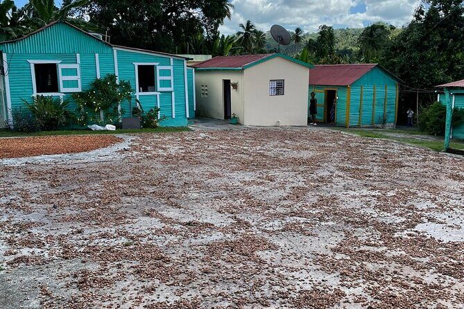 Discover Dominican life - Guides and group size: why small numbers change the experience