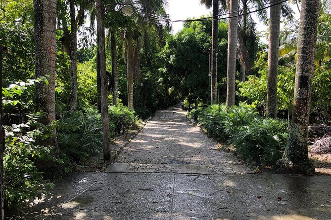 Discover Dominican life - Anamuya: coconut oil, coffee, cocoa, and the cigar workshop