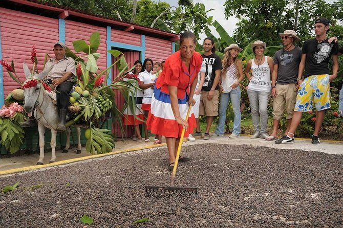 Dominican Republic Countryside Safari Tour from Punta Cana - Key highlights worth planning for