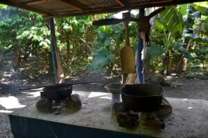 Dominican Republic Countryside Safari Tour from Punta Cana - Sugar cane, cigars, and how rural products actually get made