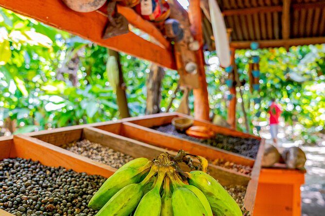 Dominican Republic Countryside Safari Tour from Punta Cana - Lunch with a view: where the day slows down