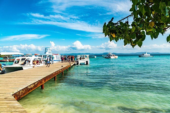El Limon Waterfall and Bacardi Island Tour from Punta Cana with Lunch Included - El Salto del Limón: the waterfall stop, lunch, and swim reality