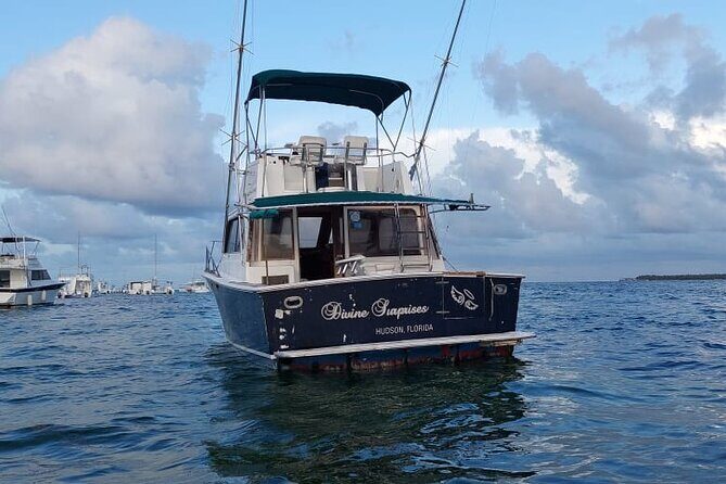 FISHING PRO CHARTERS - Boat Excursion - Divina - Comfort notes: rough seas, seasickness, and live bait