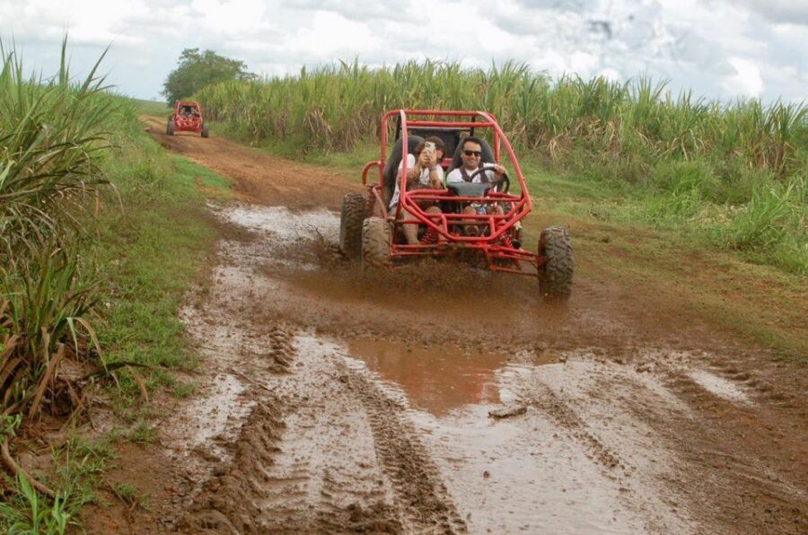 From Bayahibe: Half-day La Romana ATV or 4X4 Buggy Tour - Value in real life: what you get for the time
