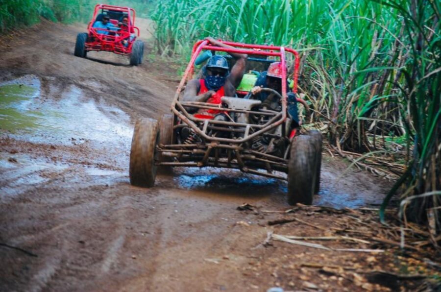 From Bayahibe: Half-day La Romana ATV or 4X4 Buggy Tour - Morning vs afternoon: how to pick your best 3.5 hours
