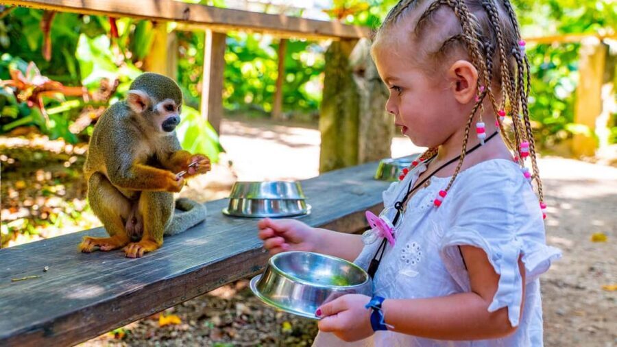 From Bayahibe: Half Day Monkeyland Safari - The Typical Dominican House Stop: Coffee and Cocoa With Local Flavor