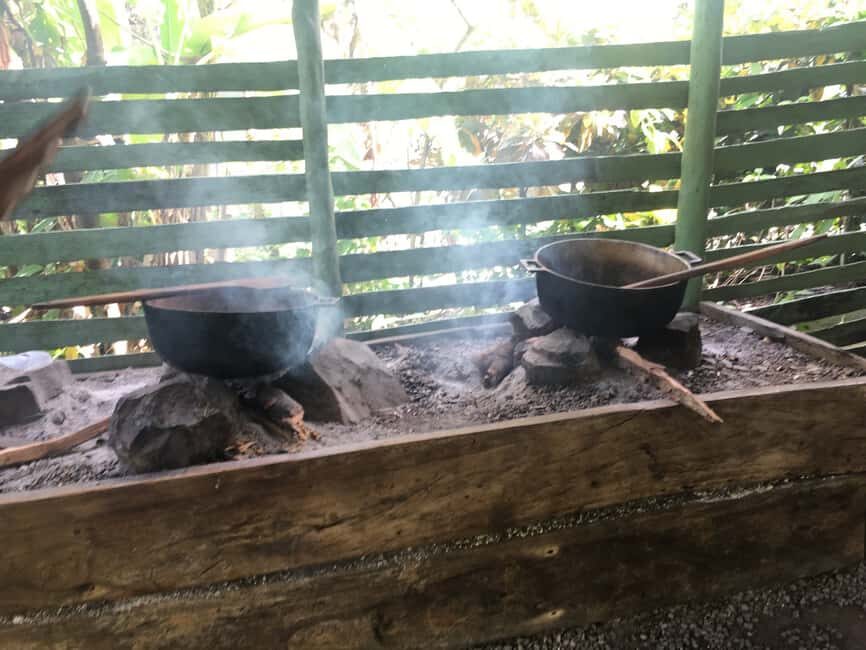From Bayahibe: Half Day Monkeyland Safari - Botanical Garden Walk: Native Plants and Island Details