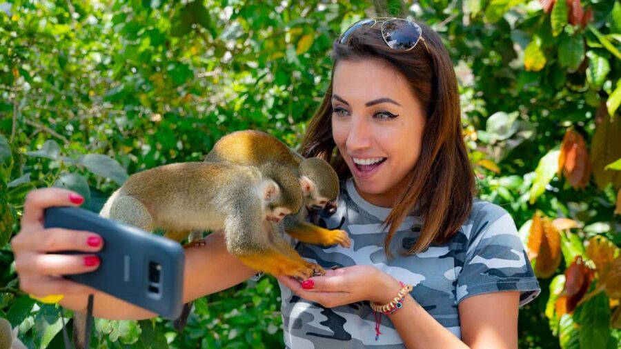 From Bayahibe: Half Day Monkeyland Safari - The Real-World Care Standard: Hygiene, Comfort, and Trust