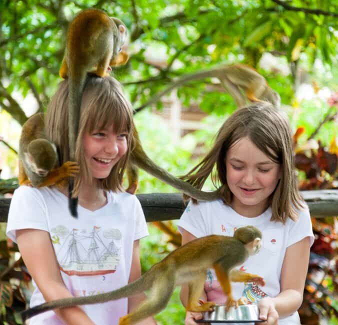 From Bayahibe: Half Day Monkeyland Safari - Bayahibe Pickup and the Open-Air Ride: What Your 5.5 Hours Covers