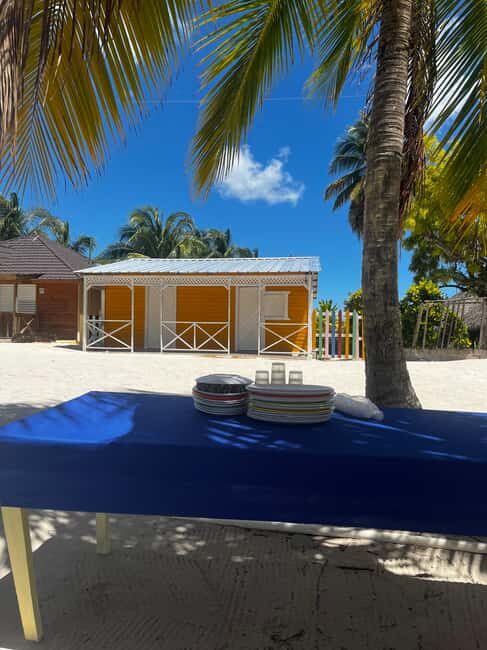 From La Romana: Saona Island for Aida Cruises Passengers - Who should book this Saona day trip (and who should skip it)