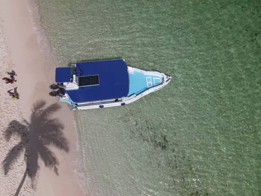 From La Romana: Saona Island for Aida Cruises Passengers - Boat day realities: timing, group pace, and why this one feels smoother